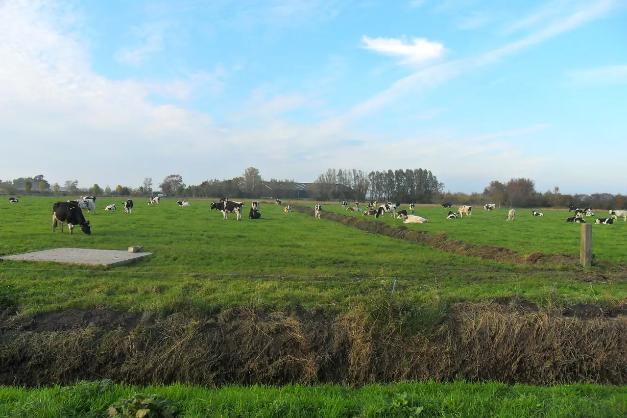 Arken Ae - B&B Zuiderwoude