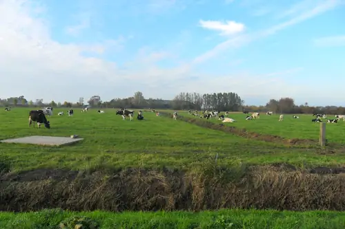 Arken Ae - B&B Zuiderwoude