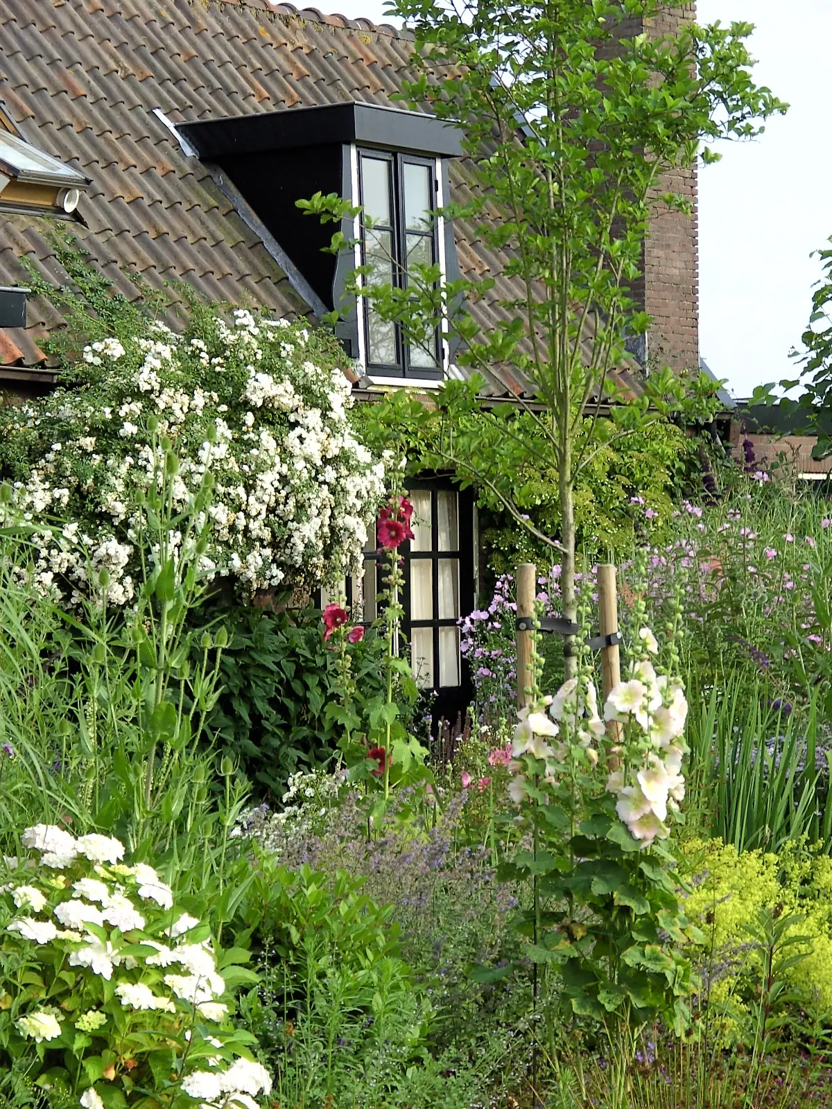 Bed & Breakfast Groenekan - B&B Groenekan
