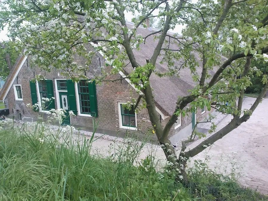 Boer d'Arij - B&B Krimpen aan den IJssel