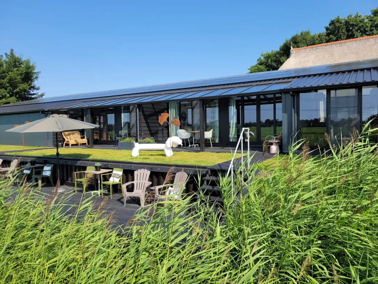 Hippe Schuur - Bed and Breakfast Tietjerk