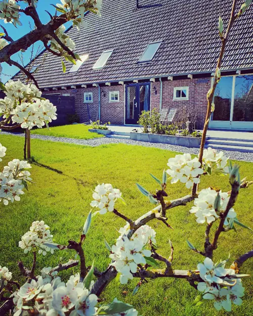 Gasterij Hoeve Steenenpoort - Ferienwohnung Sint Maartensbrug