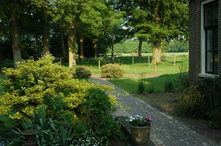 Hiddingh Hoeve - Bed and Breakfast Onstwedde