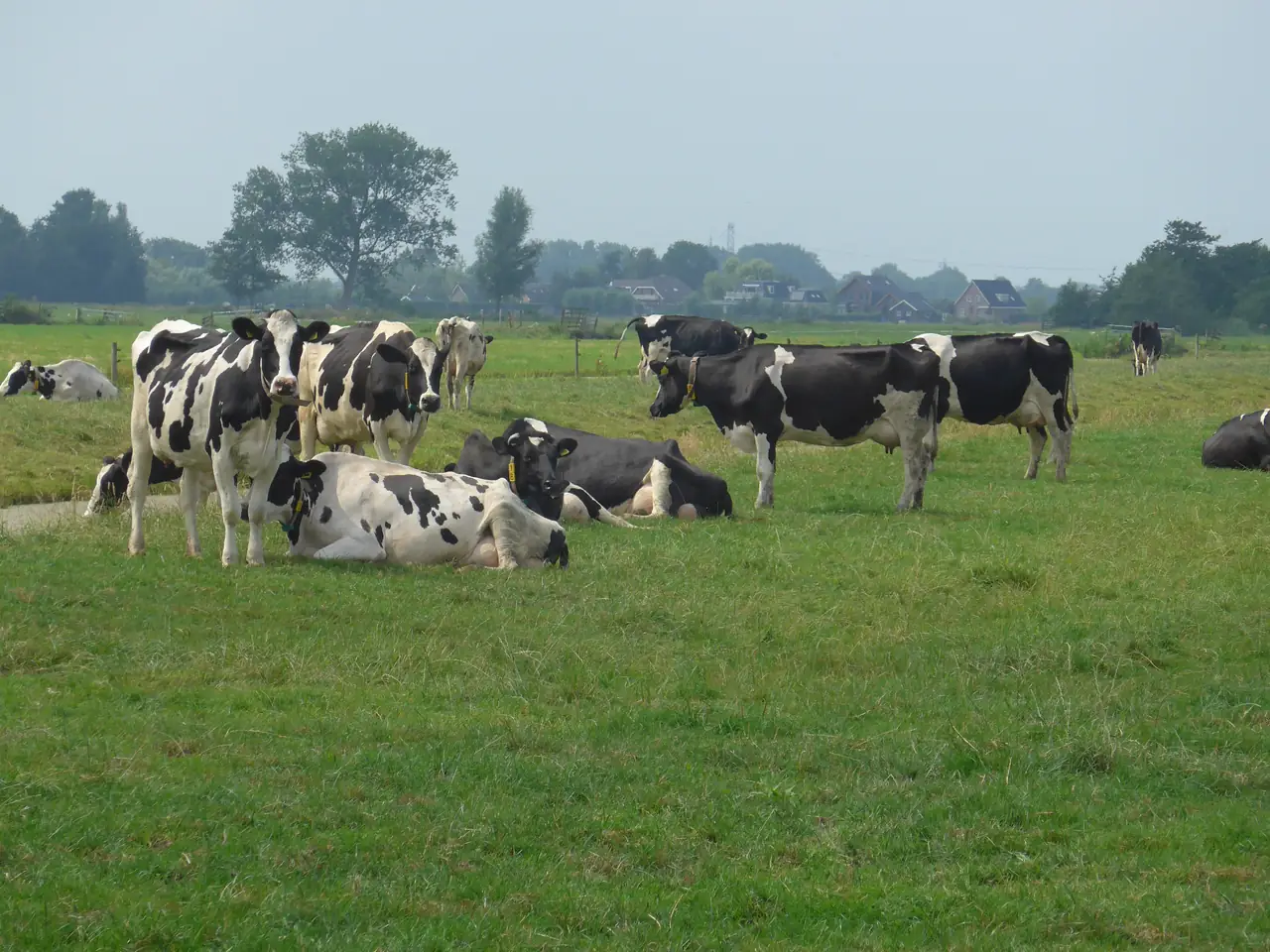 Bed & Breakfast Werkt en Wacht - B&B Stolwijk