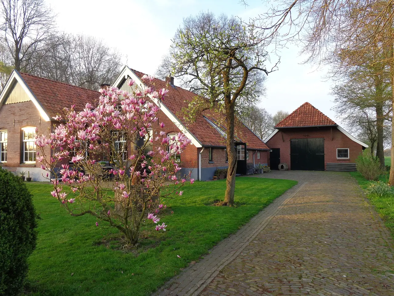 Thil's Bed & Breakfast - Bed and Breakfast Ambt Delden