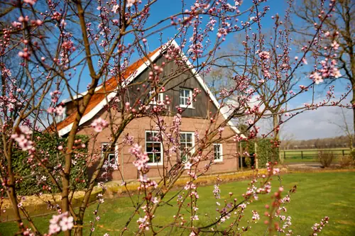 Vakantiewoning Erve Boerman - B&B Geesteren