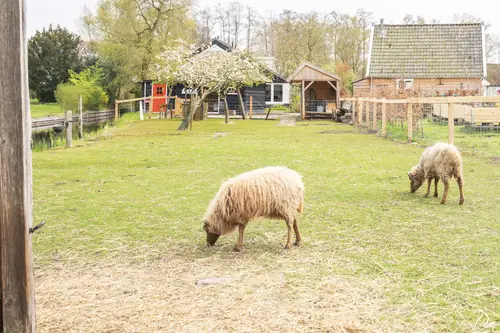 de Swarte Pauw - B&B Kortenhoef
