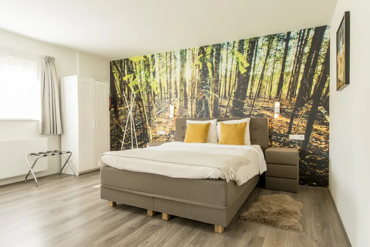 Tweepersoonskamer deluxe Begane grond