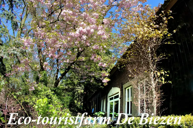 Eco-touristfarm De Biezen - Bed and Breakfast Aarle-Rixtel