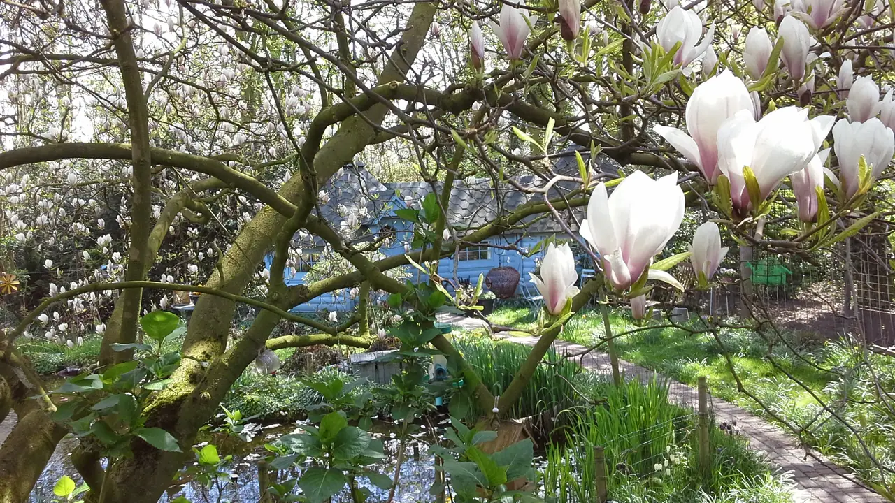 Pieni Talo - B&B Bakhuizen