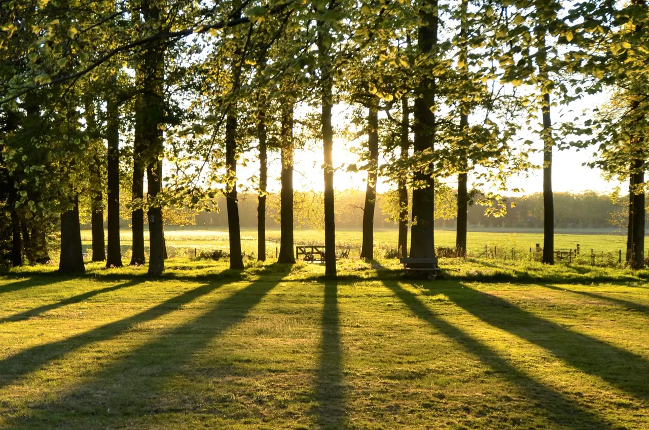 Aan de Boekhorst - B&B Lochem
