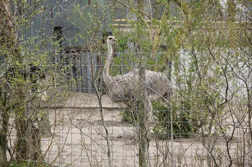 Bed & Breakfast de Struisvogelboerderij - B&B Haastrecht