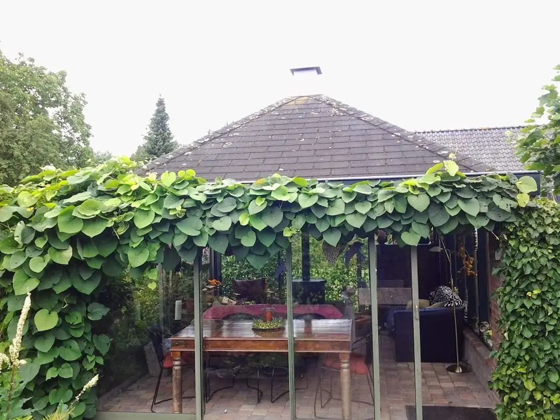 Bij ons Boven - B&B Apeldoorn