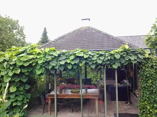 Bij ons Boven - B&B Apeldoorn