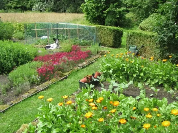 De Reijsehoeve - B&B Gemert