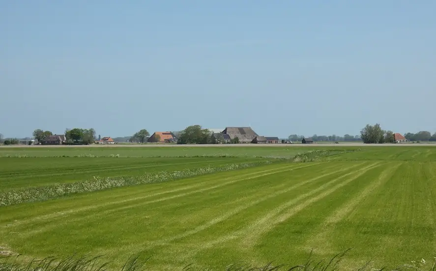 De Fryske Wyn - B&B Ferwert