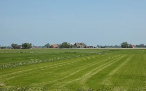 De Fryske Wyn - B&B Ferwert