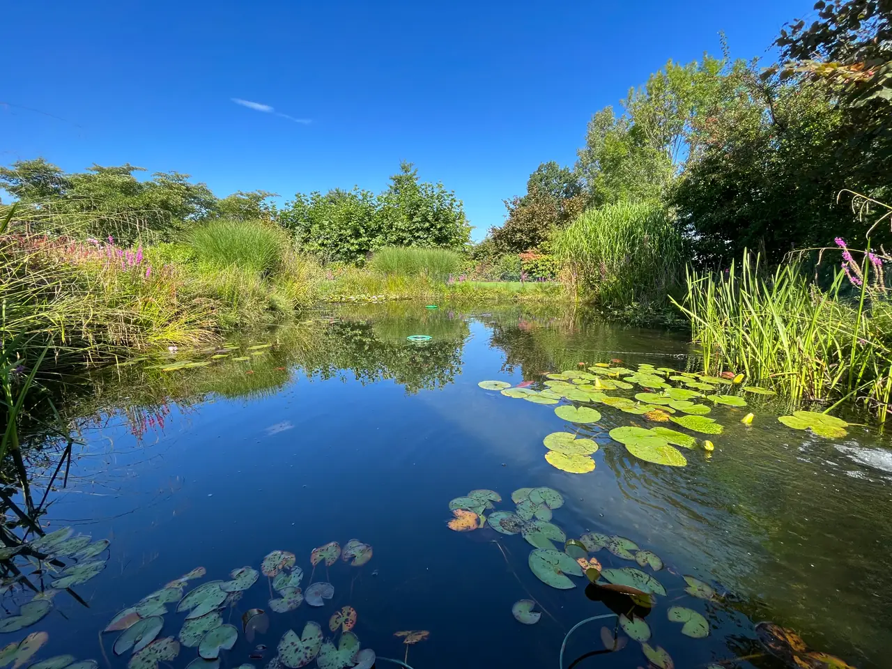 Ons Groene Geluk - B&B Rossum