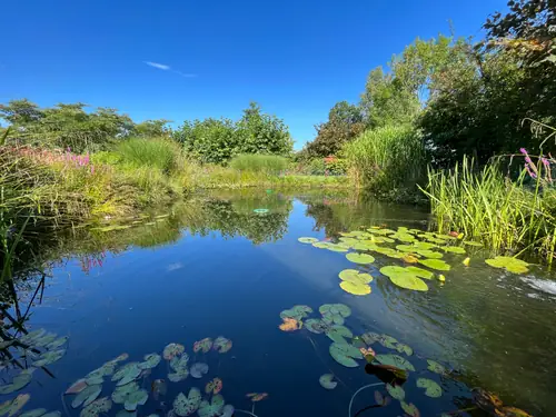 Ons Groene Geluk - B&B Rossum