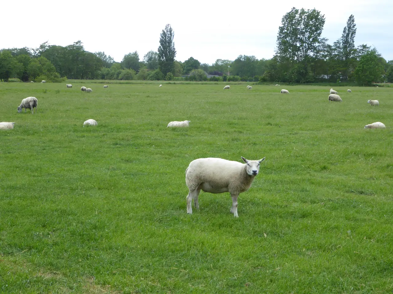 Beemster Oase - B&B Zuidoostbeemster