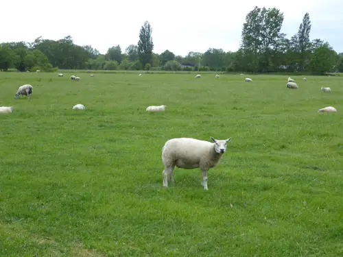 Beemster Oase - B&B Zuidoostbeemster