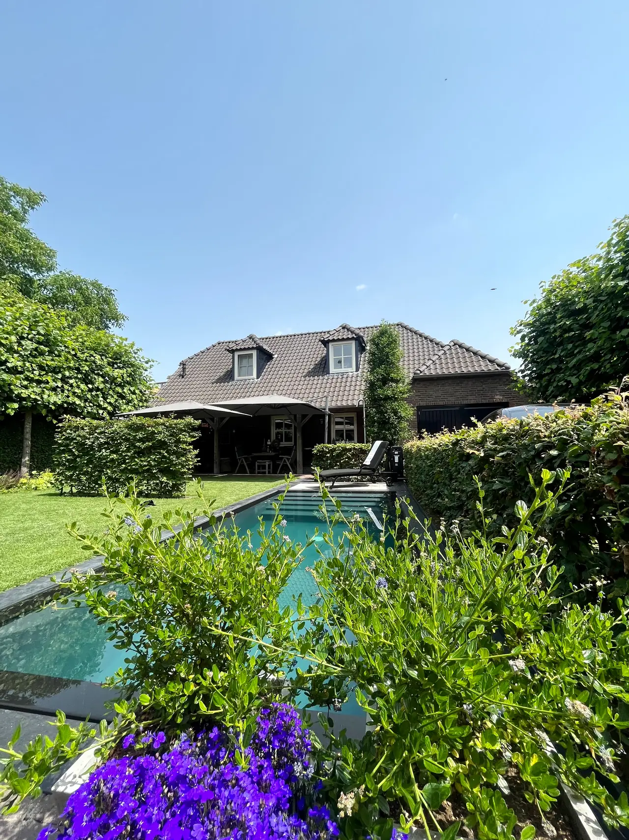 Blauwe lucht - B&B Deurne