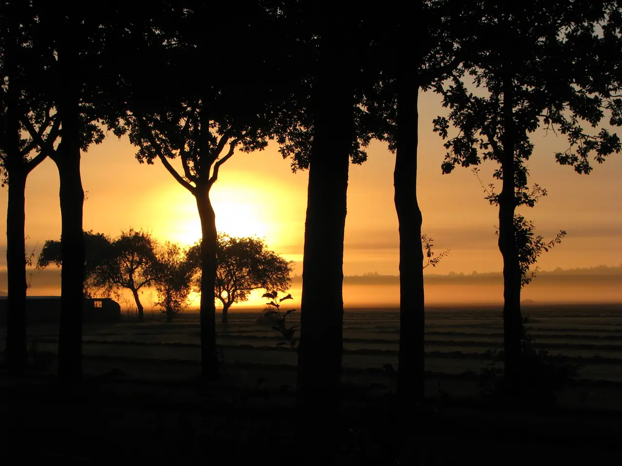 B&B Het Drents-Friese Uitzicht - Bed and Breakfast Boijl