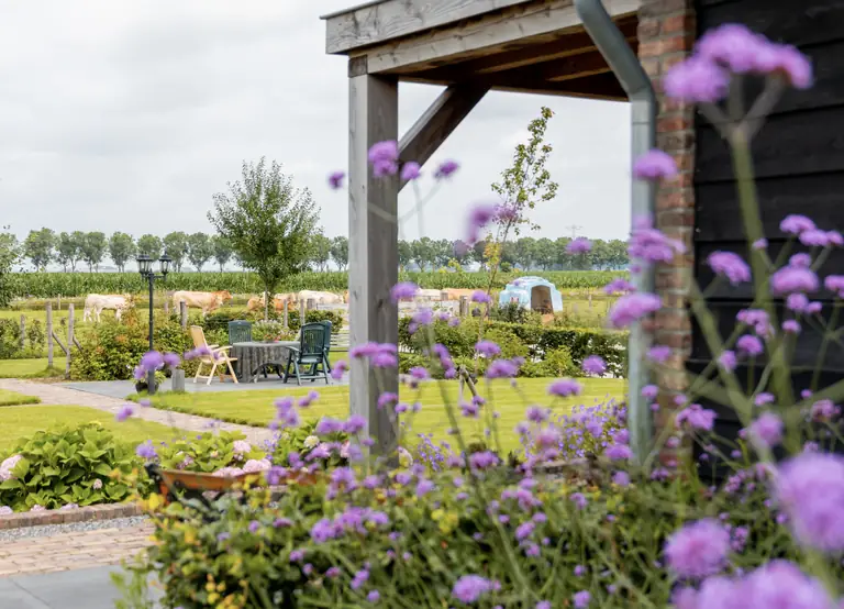 In ons Straatje - Bed and Breakfast Rosmalen