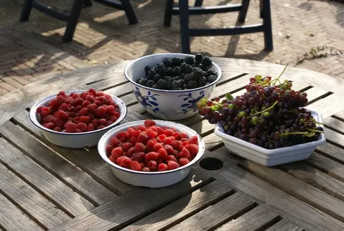 Lots4U - B&B Culemborg