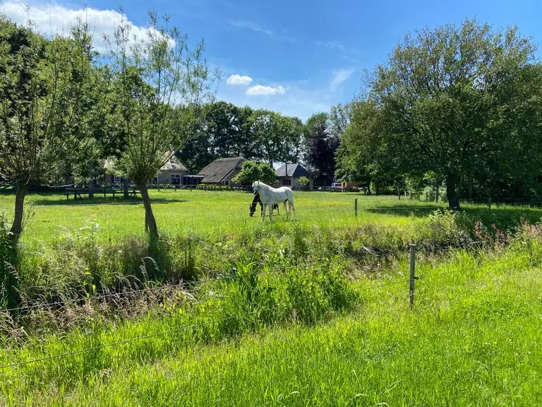 B&B de Marshoek - Bed and Breakfast Dalfsen