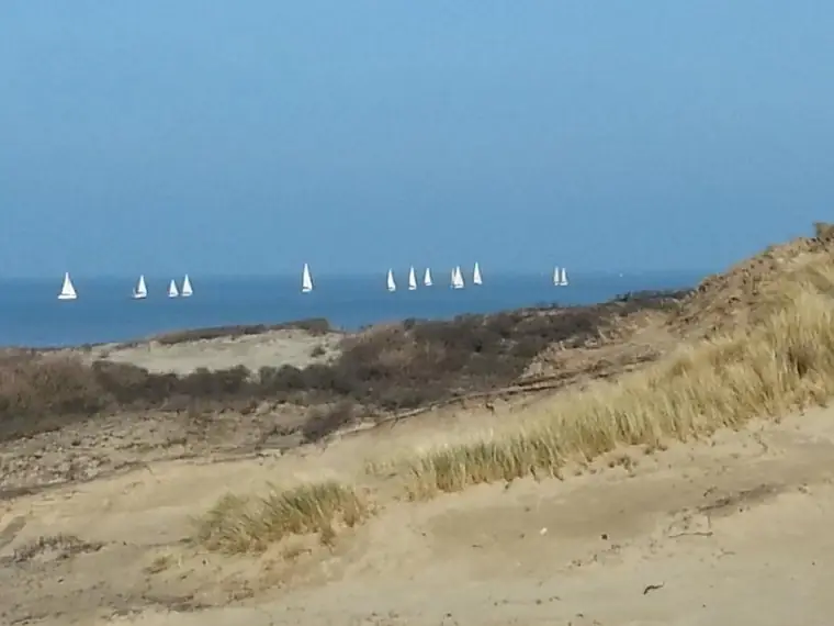 B&B at the Beach - B&B The Hague