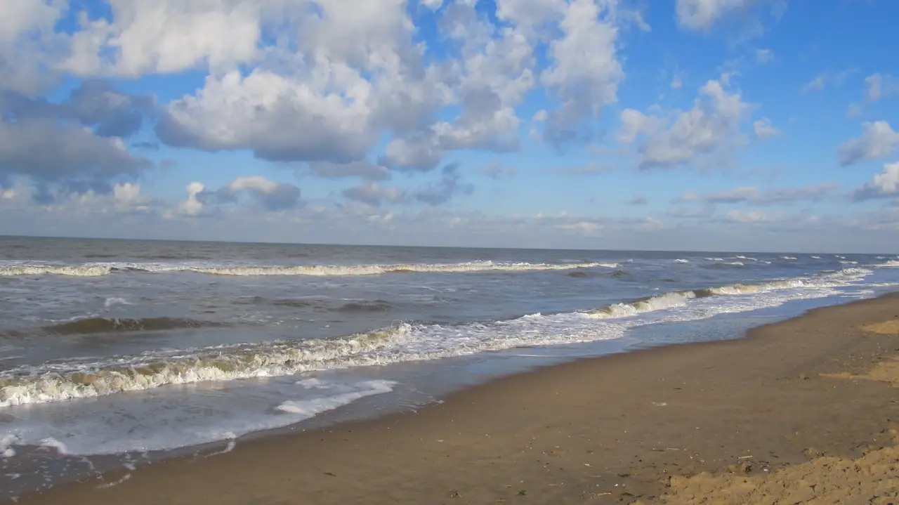 Het Merelnest - B&B Sassenheim