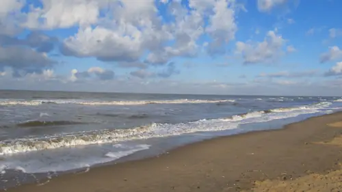 Het Merelnest - B&B Sassenheim