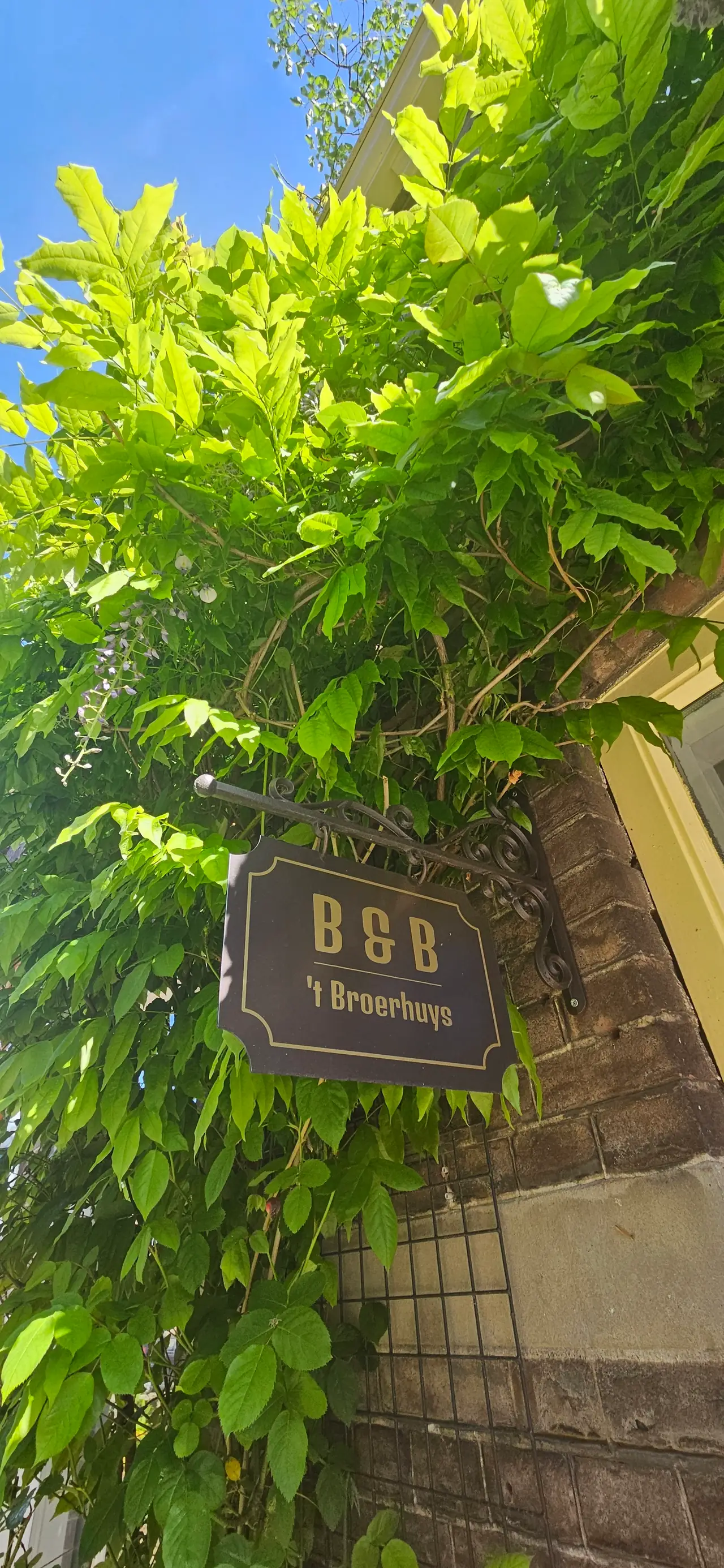 B&B 't Broerhuys - B&B Delft