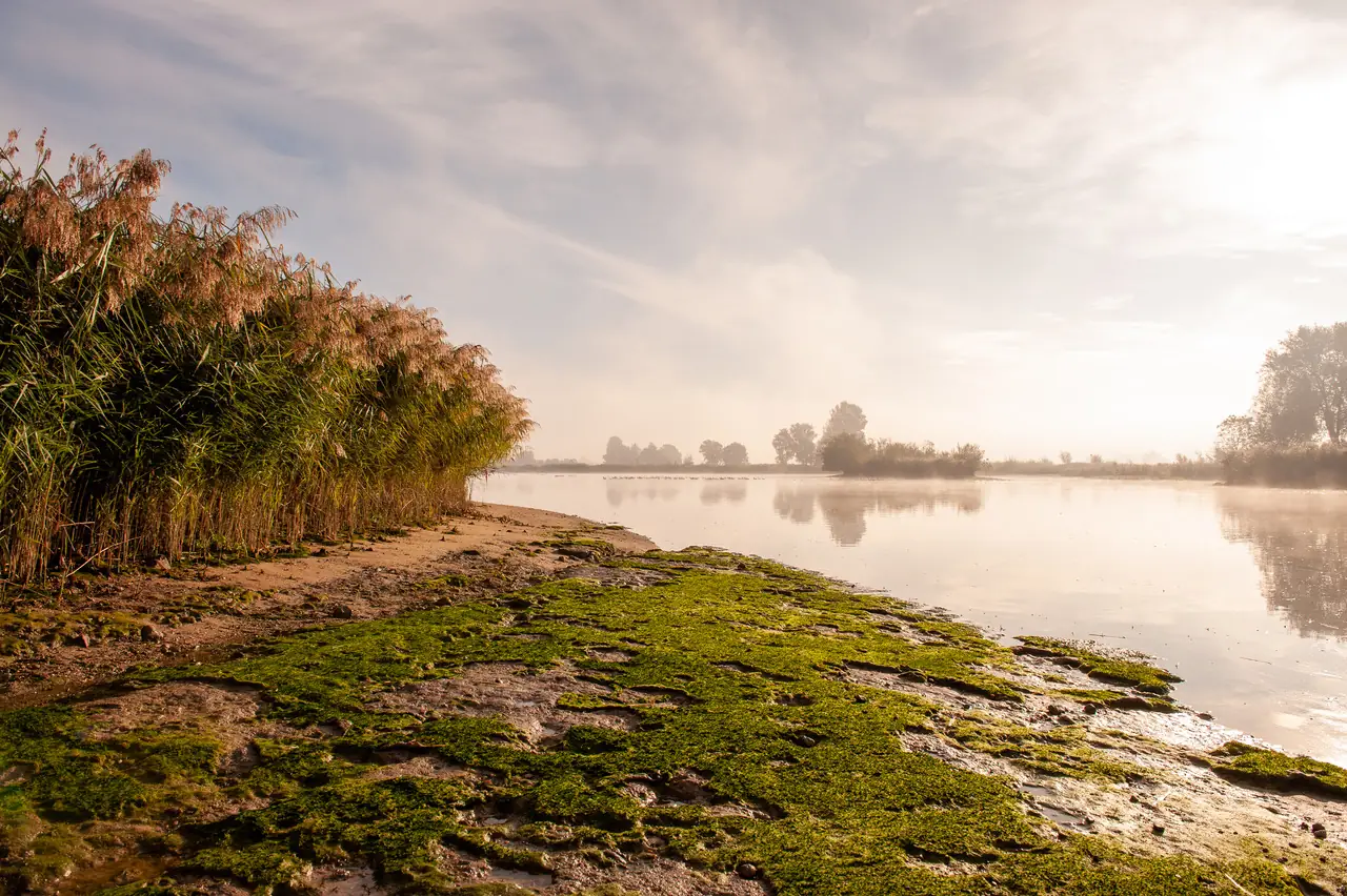 Huize Binnendijks - B&B Schoonhoven