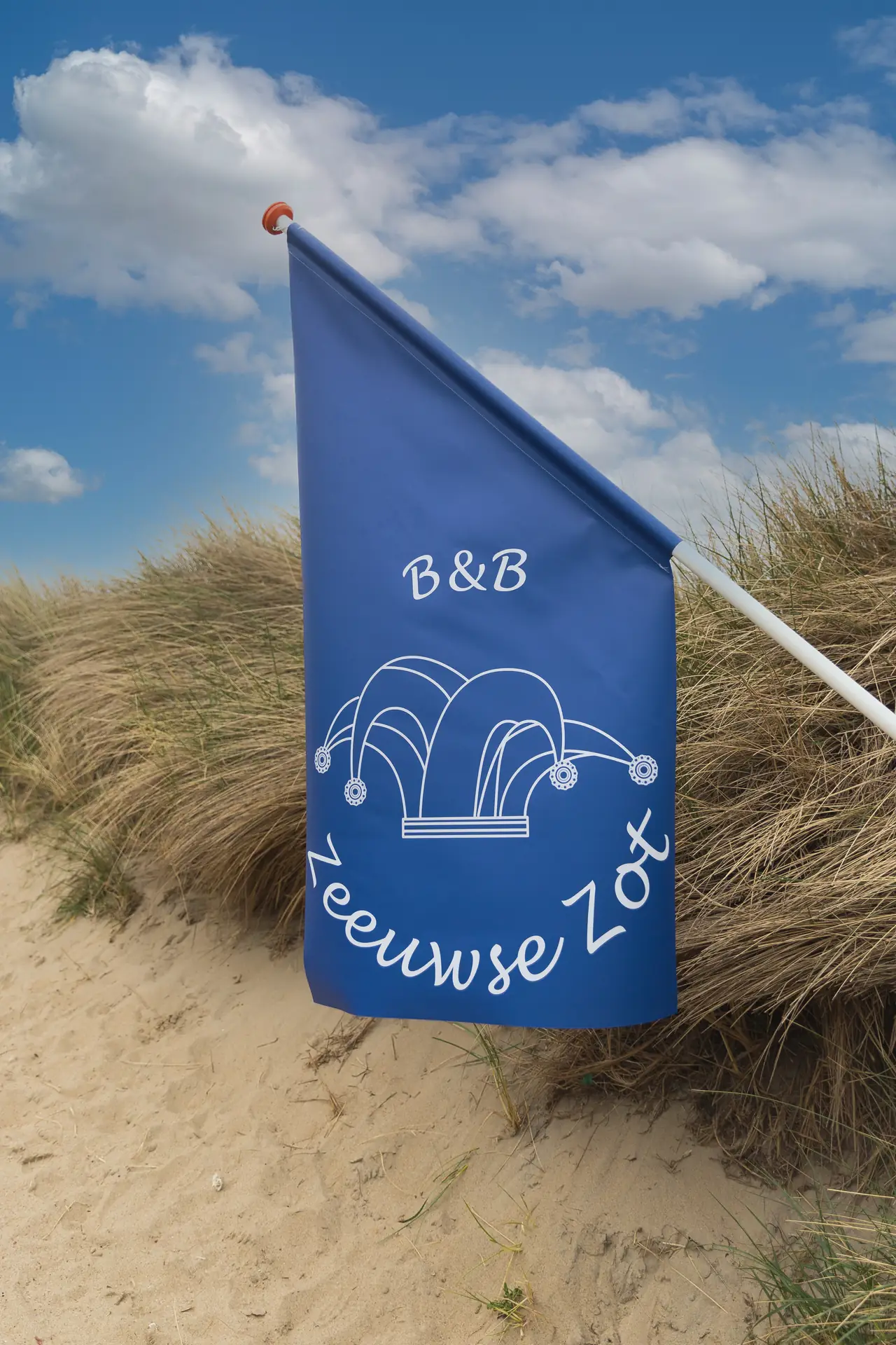 B&B Zeeuwse Zot - Bed and Breakfast Wissenkerke