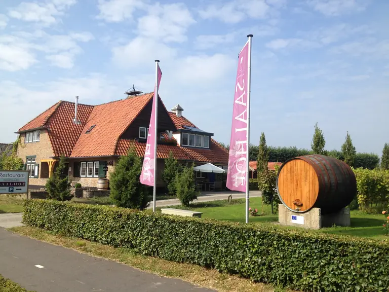 Wijngaard Saalhof - Bed and Breakfast Wognum