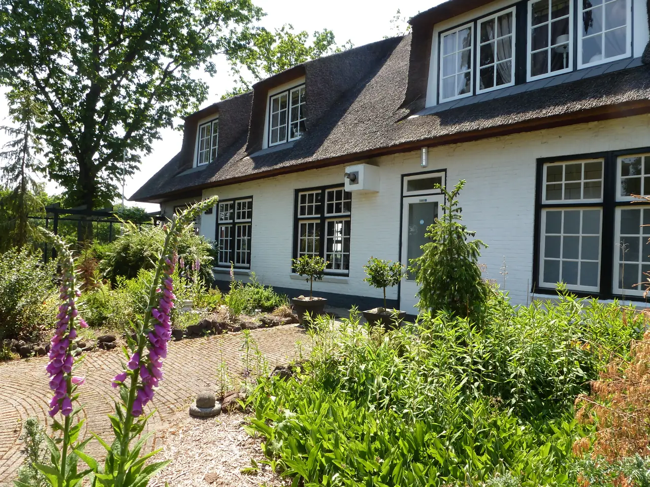 Herberg de Boschrand - Chambres d’hôtes Exloo