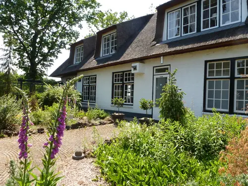 Herberg de Boschrand - Chambres d’hôtes Exloo