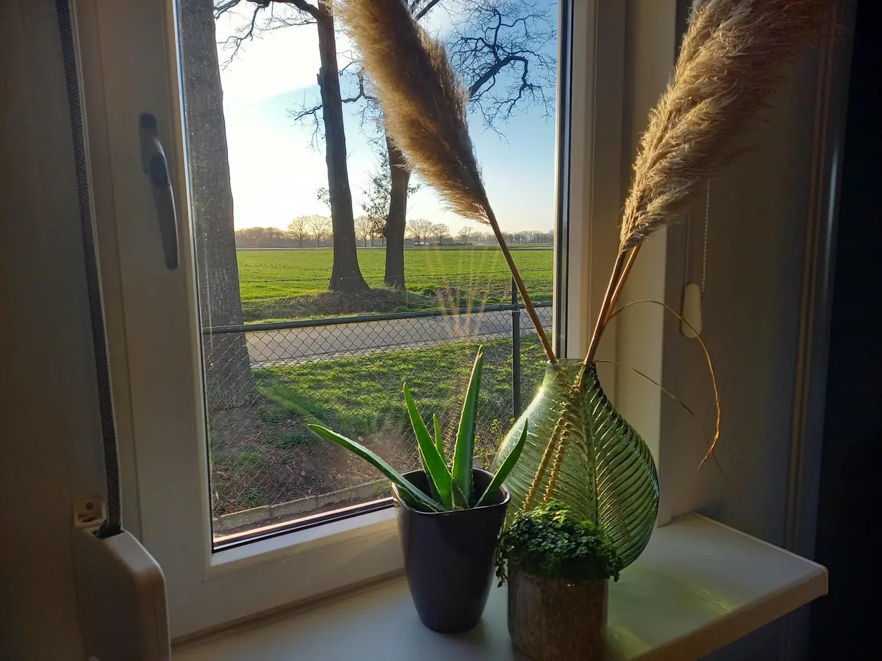 B&B Sterrenhemel - B&B Deurne