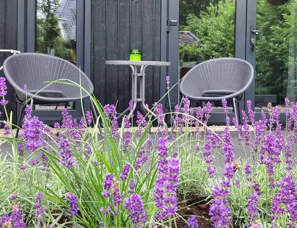 B&B de Burcht - B&B Bunne