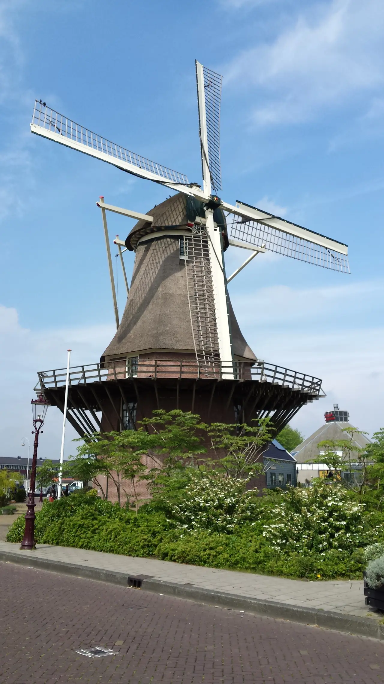 Bed & Breakfast The Mallard - B&B Amsterdam