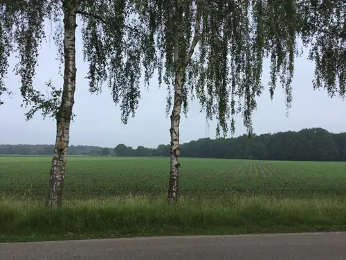 B&B 'Op 't Eikenschoor' - Bed and Breakfast Soerendonk