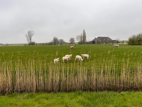 B&B Oldenbosch - B&B Holwierde