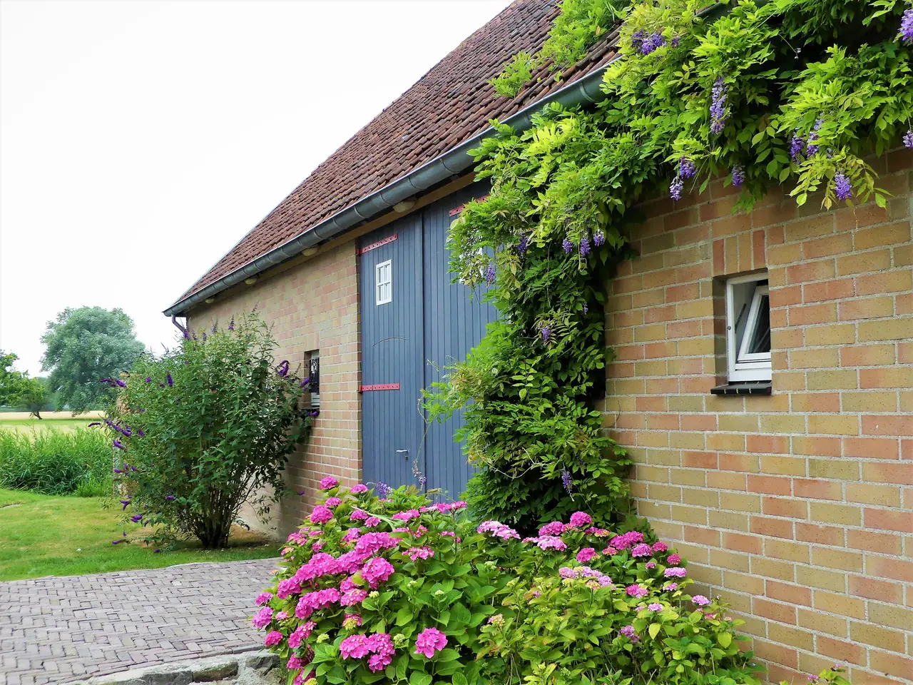 Het Zilte Zuidzande - B&B Zuidzande