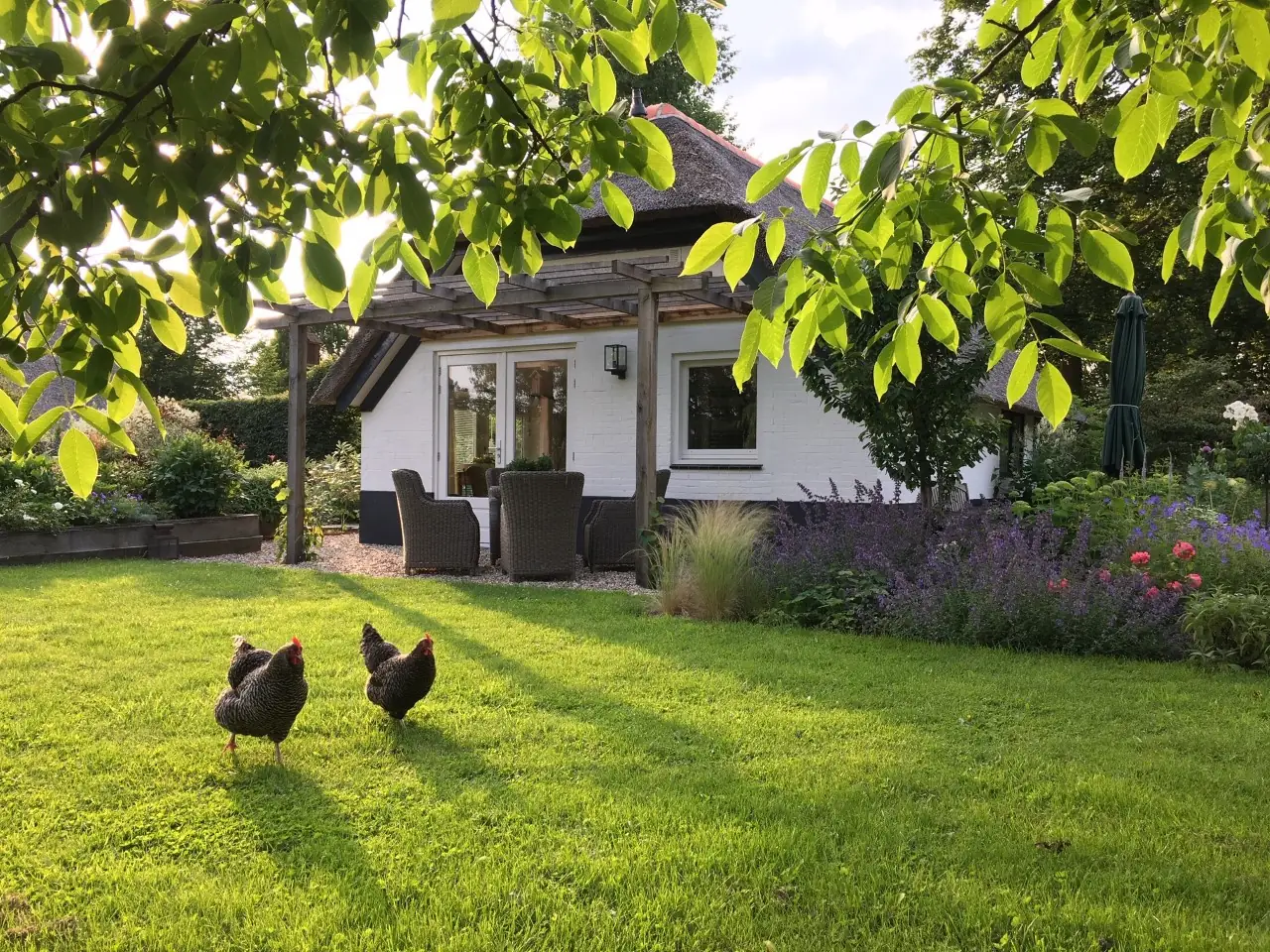 B&B Bussloo - Bed and Breakfast Wilp