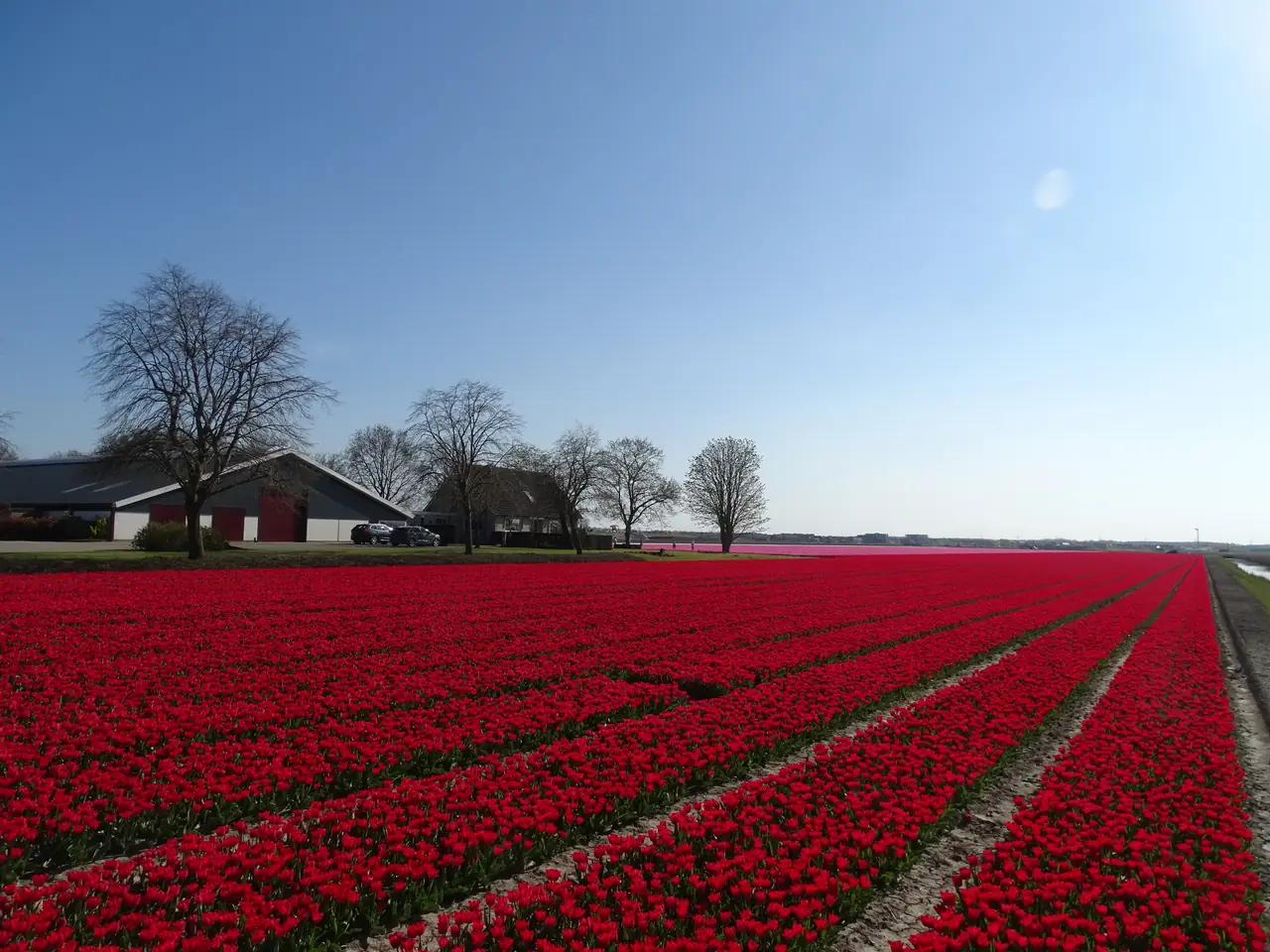 Bed & Breakfast Buitengewoon - Ferienwohnung Zeewolde