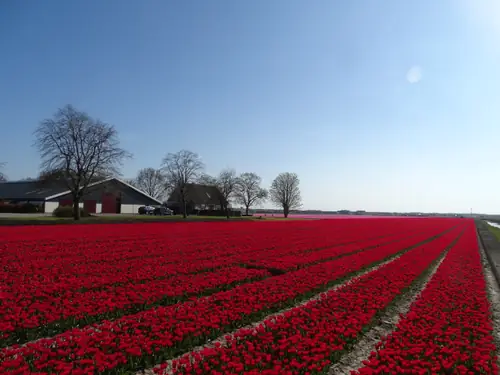 Bed & Breakfast Buitengewoon - Ferienwohnung Zeewolde