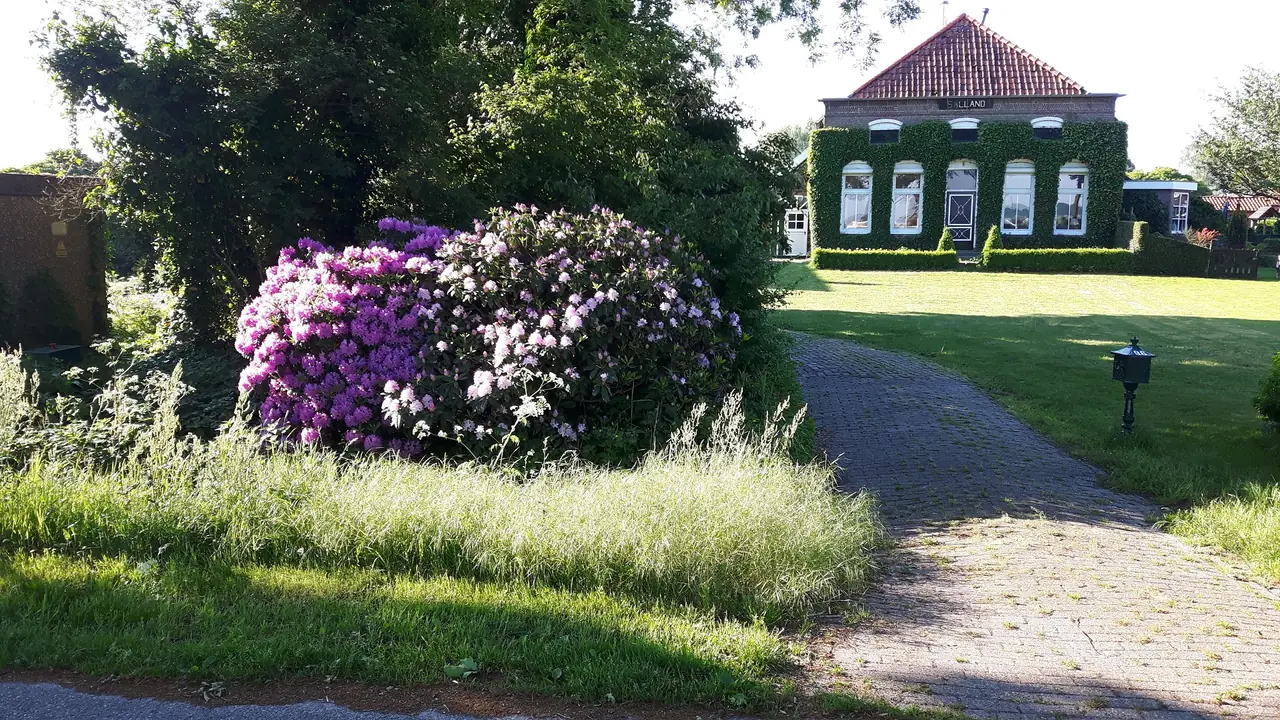 Bed and breakfast Huize Salland - Ferienwohnung Vroomshoop