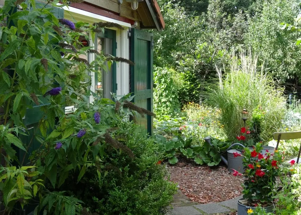Bedje en Kadetje - B&B Klijndijk
